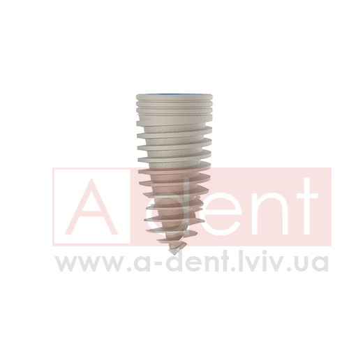 ������� MAGIX Dental Implant d3.8 L08mm Prime Implant Set (Cortex Dental Implants Industries Ltd.), � BCDL-0838, Magix Conical Regular Platform (d 2.8mm) - Prime Package, Ideal for implant placement without drilling - 0.00 ���