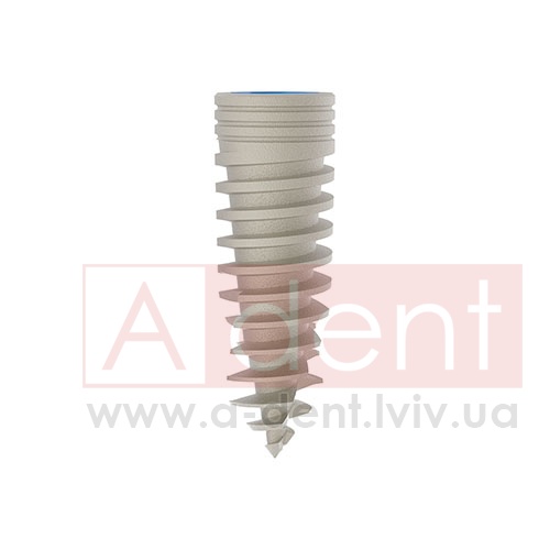 ������� MAGIX Dental Implant d3.8 L11.5mm Prime Implant Set (Cortex Dental Implants Industries Ltd.), � BCDL-1138, Magix Conical Regular Platform (d 2.8mm) - Prime Package, Ideal for implant placement without drilling - 0.00 ���