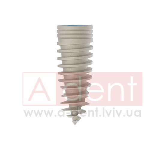 ������� MAGIX Dental Implant d4.2 L11.5mm Prime Implant Set (Cortex Dental Implants Industries Ltd.), � BCDL-1142, Magix Conical Regular Platform (d 2.8mm) - Prime Package, Ideal for implant placement without drilling - 0.00 ���