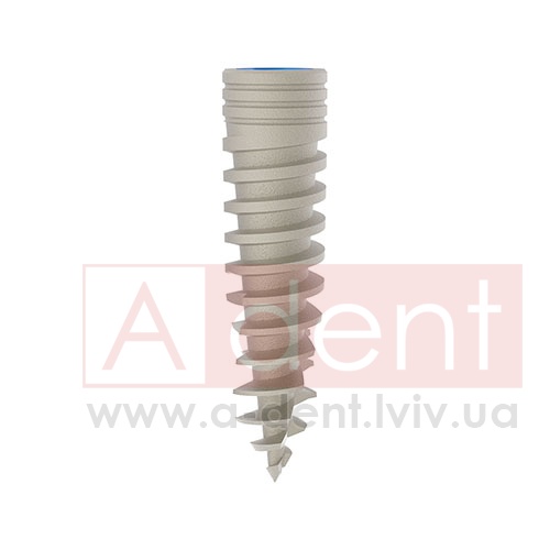 ������� MAGIX Dental Implant d3.3 L13mm Prime Implant Set (Cortex Dental Implants Industries Ltd.), � BCDL-1333, Magix Conical Regular Platform (d 2.8mm) - Prime Package, Ideal for implant placement without drilling - 0.00 ���