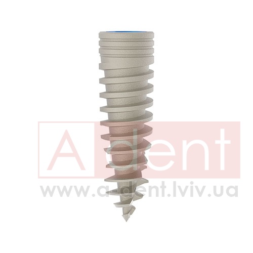 ������� MAGIX Dental Implant d3.8 L13mm Prime Implant Set (Cortex Dental Implants Industries Ltd.), � BCDL-1338, Magix Conical Regular Platform (d 2.8mm) - Prime Package, Ideal for implant placement without drilling - 0.00 ���