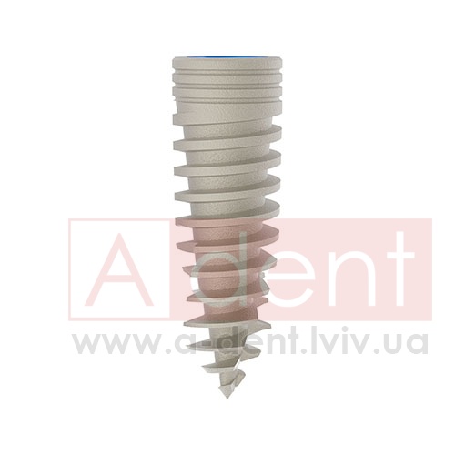 ������� MAGIX Dental Implant d4.2 L13mm Prime Implant Set (Cortex Dental Implants Industries Ltd.), � BCDL-1342, Magix Conical Regular Platform (d 2.8mm) - Prime Package, Ideal for implant placement without drilling - 0.00 ���