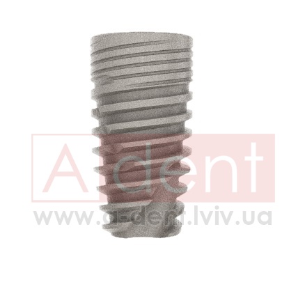 ������� Conic Dynamix Implant d6.0mm L10mm Prime Implant Set (Cortex Dental Implants Industries Ltd.), � BMCD-1060, Dynamix Conical Implant Prime Set - 0.00 ���