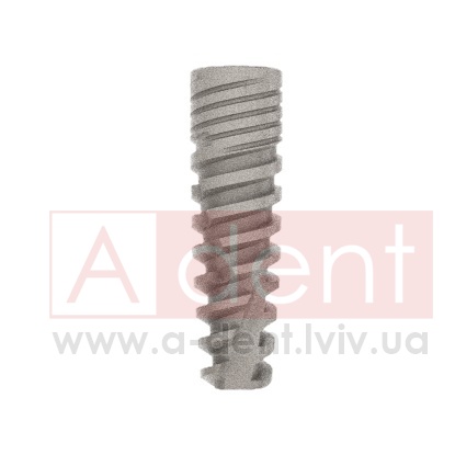 ������� Conic Dynamix Implant d3.3mm L11.5mm Prime Implant Set (Cortex Dental Implants Industries Ltd.), � BMCD-1133, Dynamix Conical Implant Prime Set - 0.00 ���