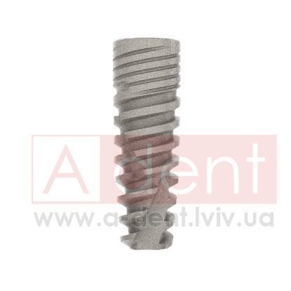 ������� Conic Dynamix Implant d3.8mm L13mm Prime Implant Set (Cortex Dental Implants Industries Ltd.), � BMCD-1338, Dynamix Conical Implant Prime Set - 0.00 ���