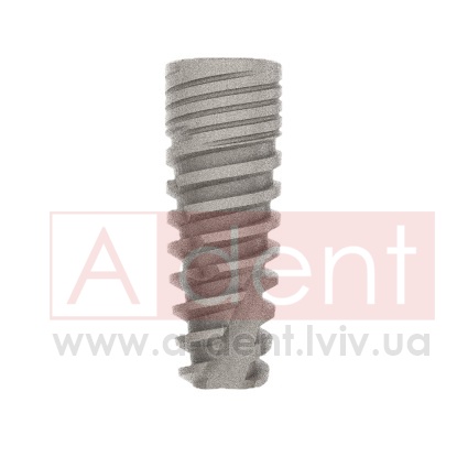 ������� Conic Dynamix Implant d4.2mm L13mm Prime Implant Set (Cortex Dental Implants Industries Ltd.), � BMCD-1342, Dynamix Conical Implant Prime Set - 0.00 ���