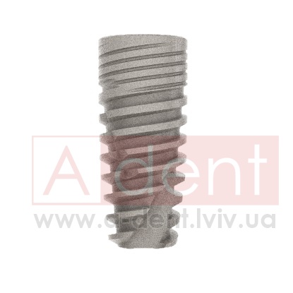 ������� Conic Dynamix Implant d5.0mm L13mm Prime Implant Set (Cortex Dental Implants Industries Ltd.), � BMCD-1350, Dynamix Conical Implant Prime Set - 0.00 ���