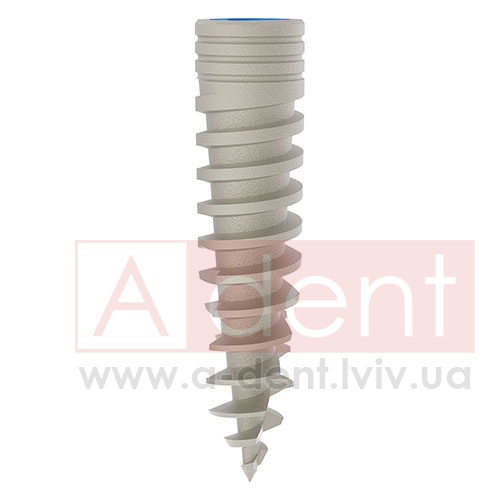 ������� MAGIX Dental Implant d3.8 L16mm Prime Implant Set (Cortex Dental Implants Industries Ltd.), � BCDL-1638, Magix Conical Regular Platform (d 2.8mm) - Prime Package, Ideal for implant placement without drilling - 0.00 ���